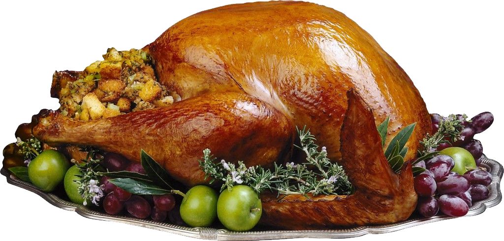 Turkey food PNG    图片编号:58519
