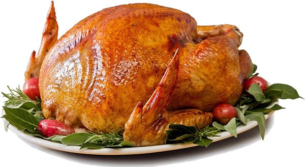 Turkey food PNG    图片编号:58532