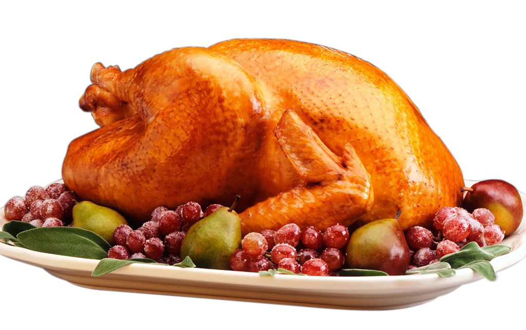 Turkey food PNG    图片编号:58534
