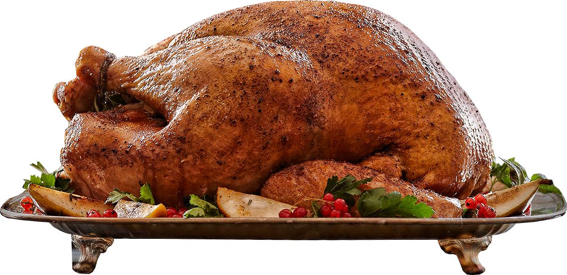 Turkey food PNG    图片编号:58535