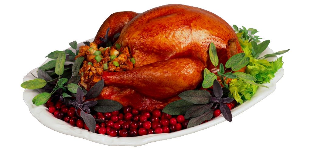 Turkey food PNG    图片编号:58520