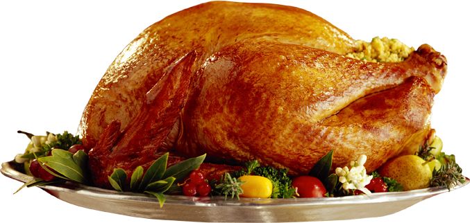 Turkey food PNG    图片编号:58538