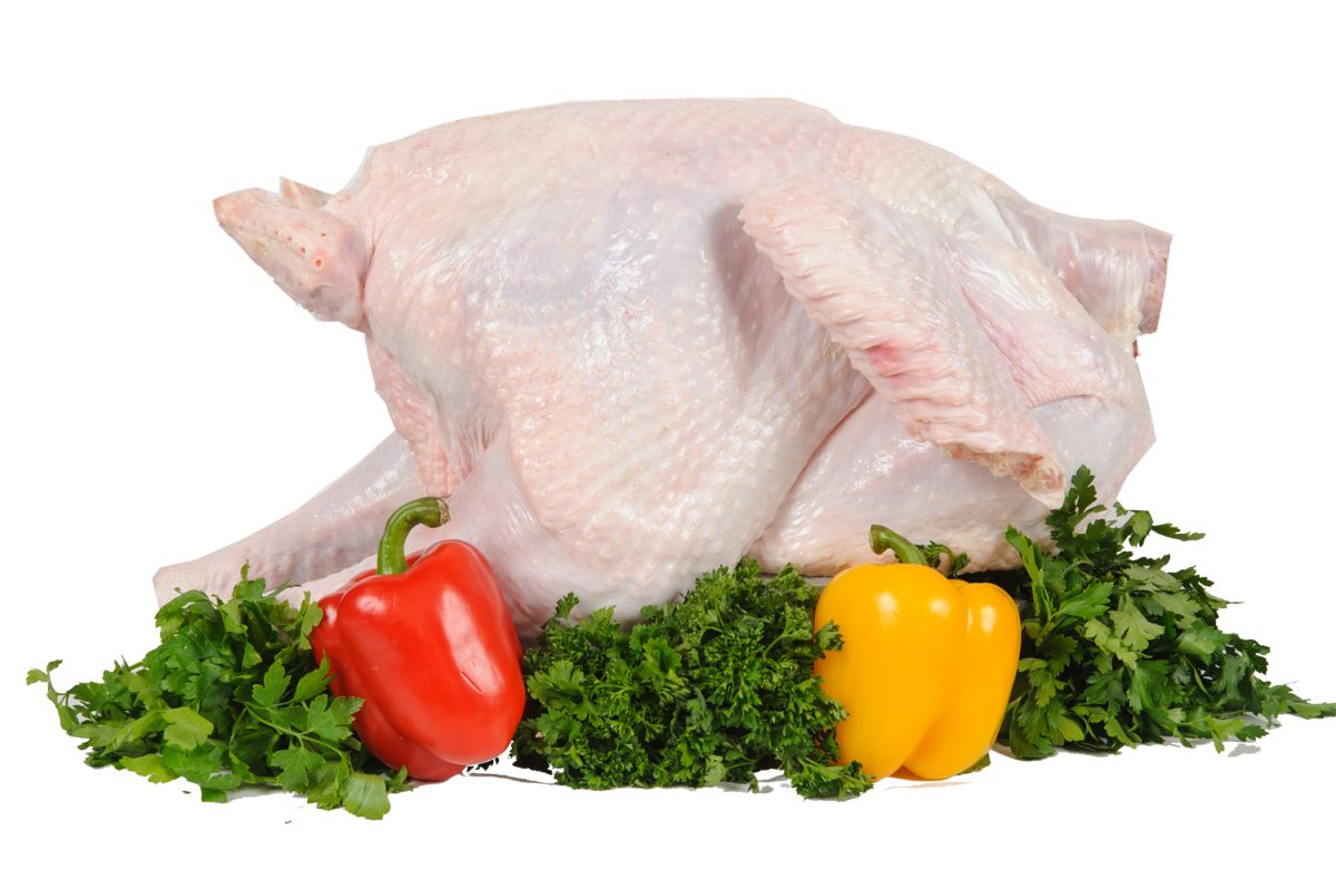 Turkey food PNG    图片编号:58543