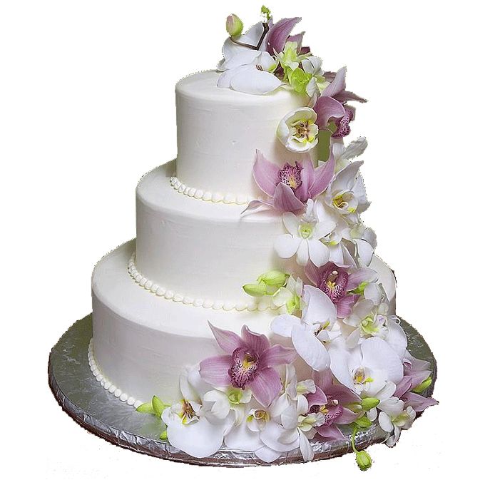 Wedding cake PNG    图片编号:19443