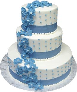 Wedding cake PNG    图片编号:19446