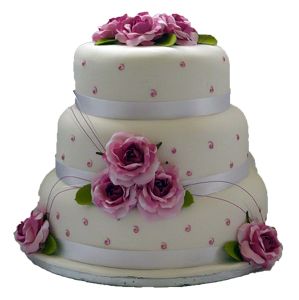 Wedding cake PNG    图片编号:19461