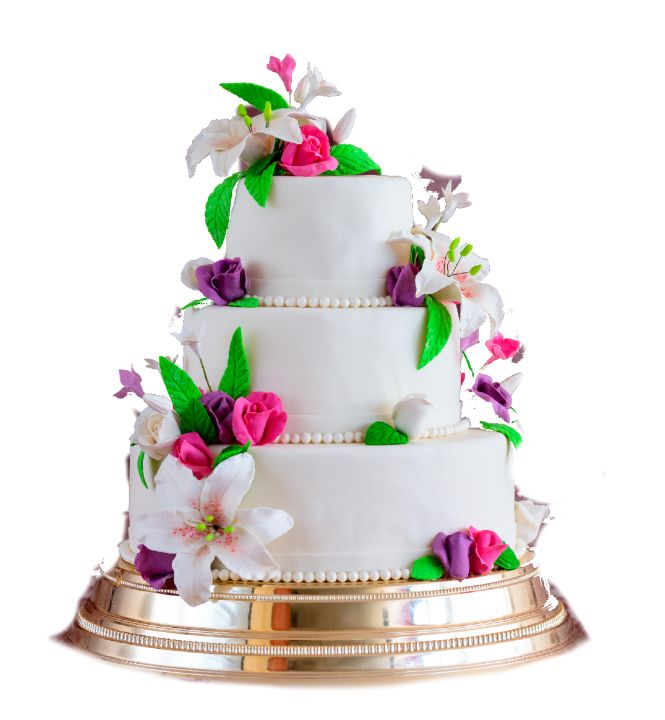 Wedding cake PNG    图片编号:19469