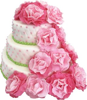 Wedding cake PNG    图片编号:19470