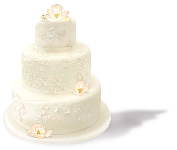 Wedding cake PNG    图片编号:98985