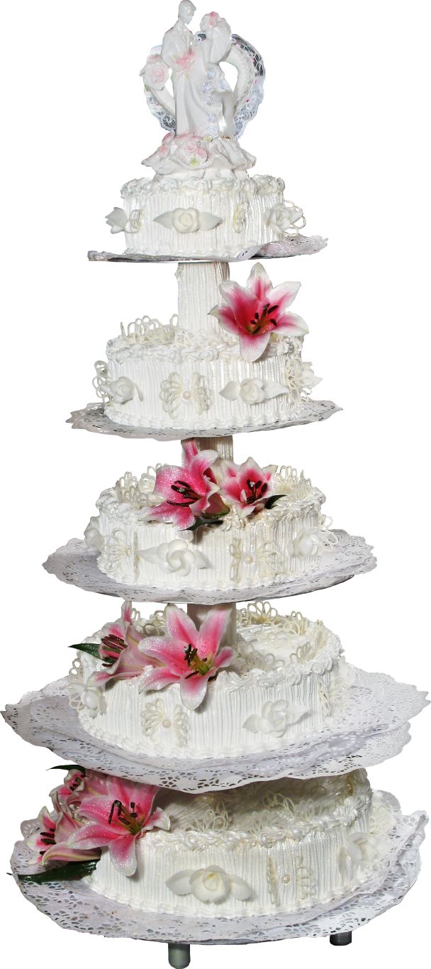 Wedding cake PNG    图片编号:98998