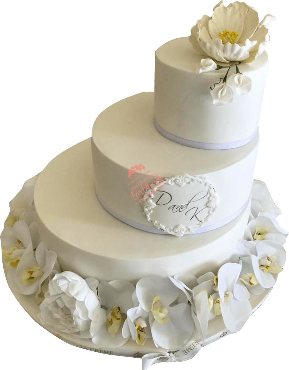 Wedding cake PNG    图片编号:99018