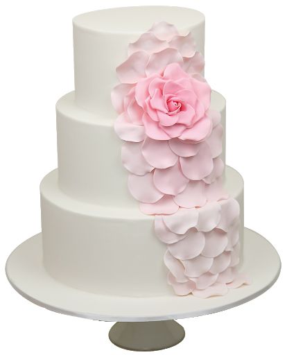 Wedding cake PNG    图片编号:99022