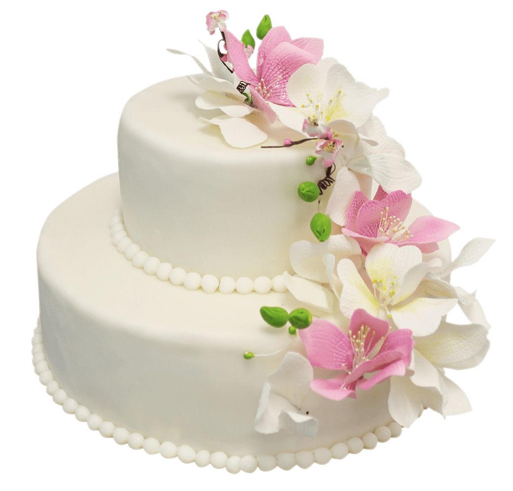 Wedding cake PNG    图片编号:99024