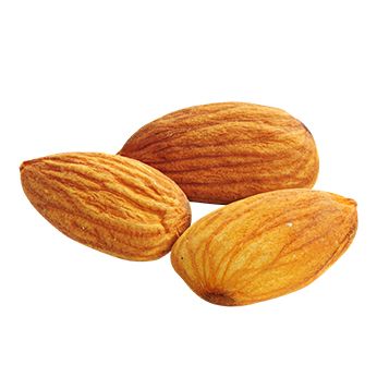 Almonds PNG image with transparent background    图片编号:50633