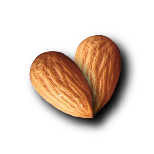 Almond heart PNG    图片编号:50656