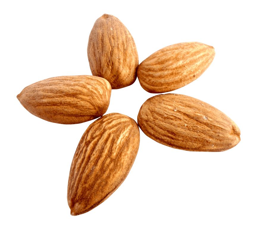 Almond PNG, Almonds PNG    图片编号:50658