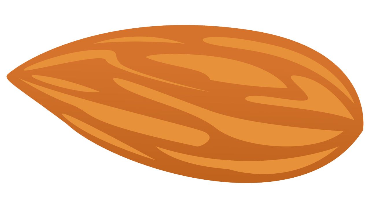 Almond seed PNG image    图片编号:50663