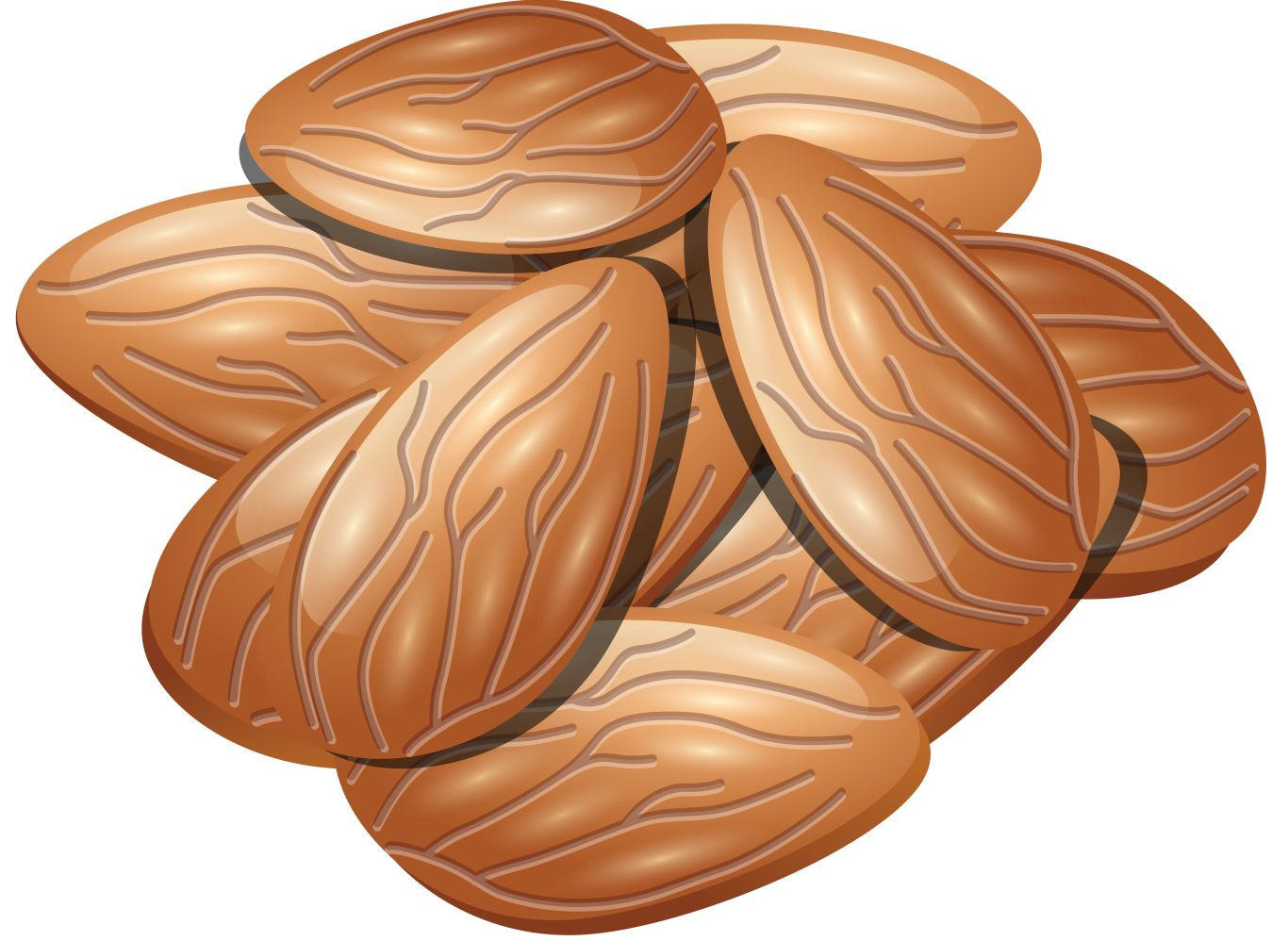 Almonds PNG image, almond PNG    图片编号:50636