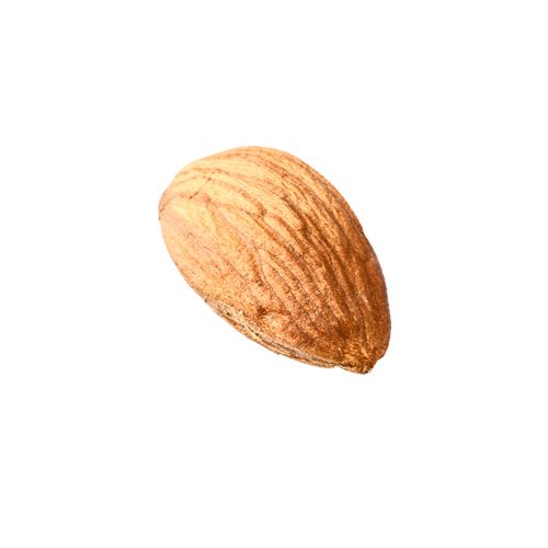 Almond PNG    图片编号:50688