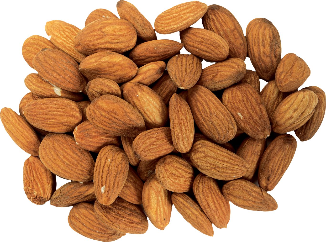 Many almonds, almond PNG    图片编号:50699