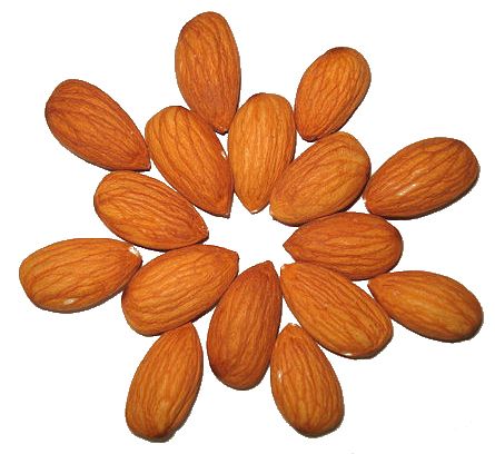 Almonds in shape PNG    图片编号:50707