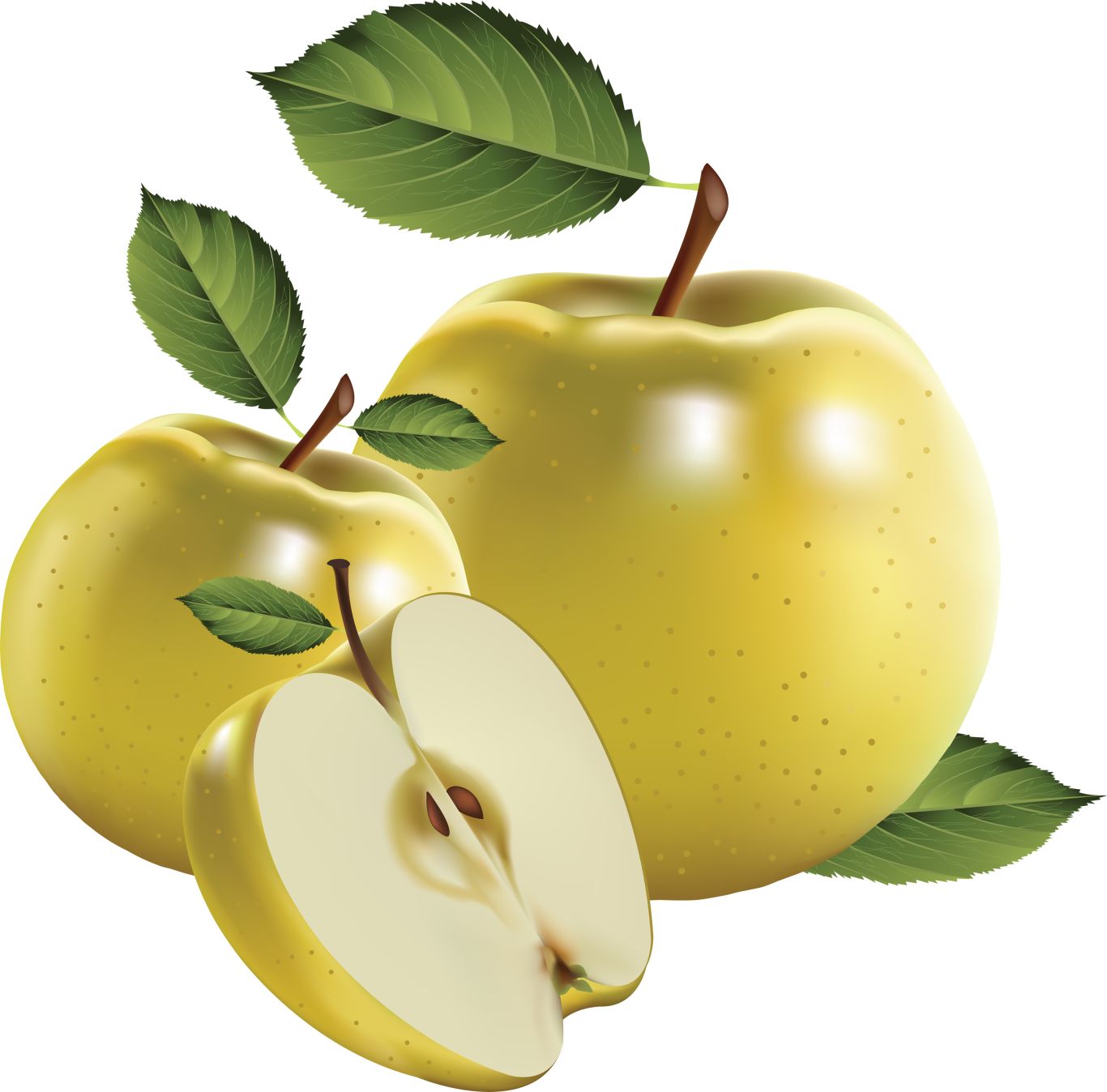 Apple PNG, apples png    图片编号:12418