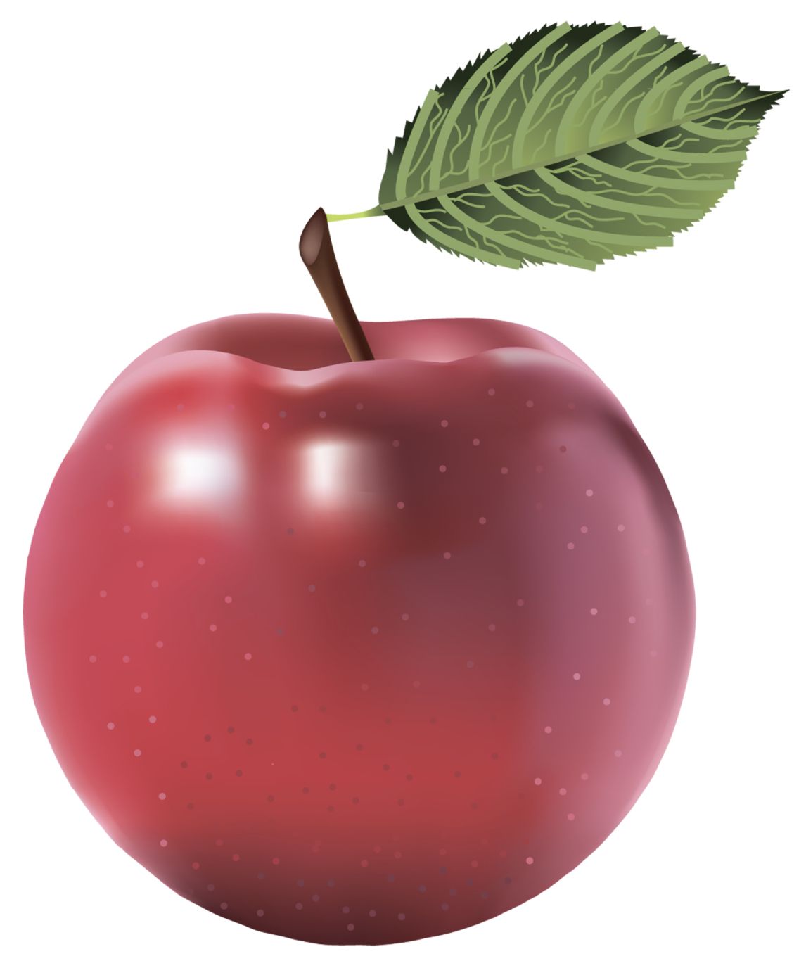 Tasty red apple PNG    图片编号:12431