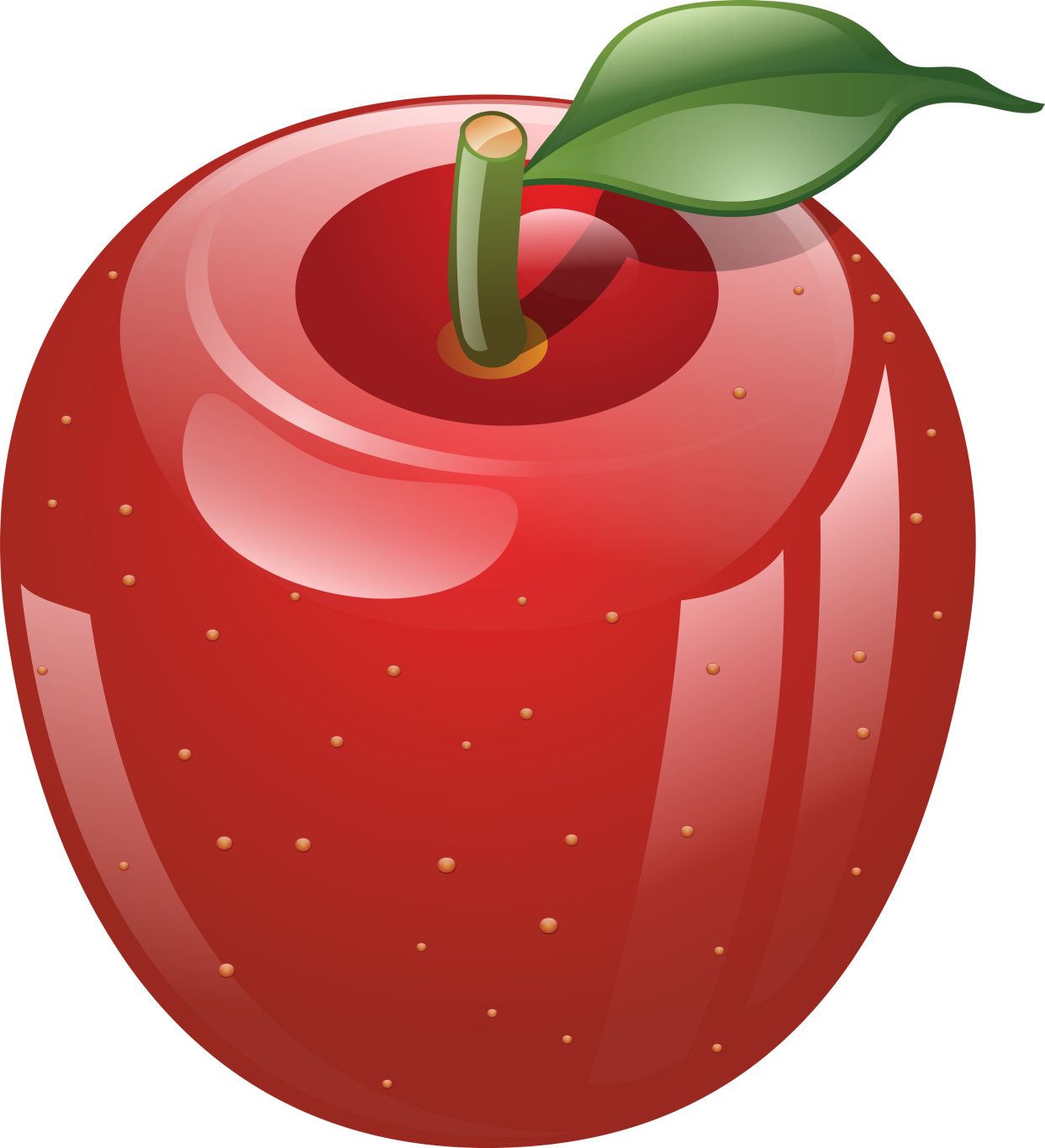 red apple picture PNG    图片编号:12454