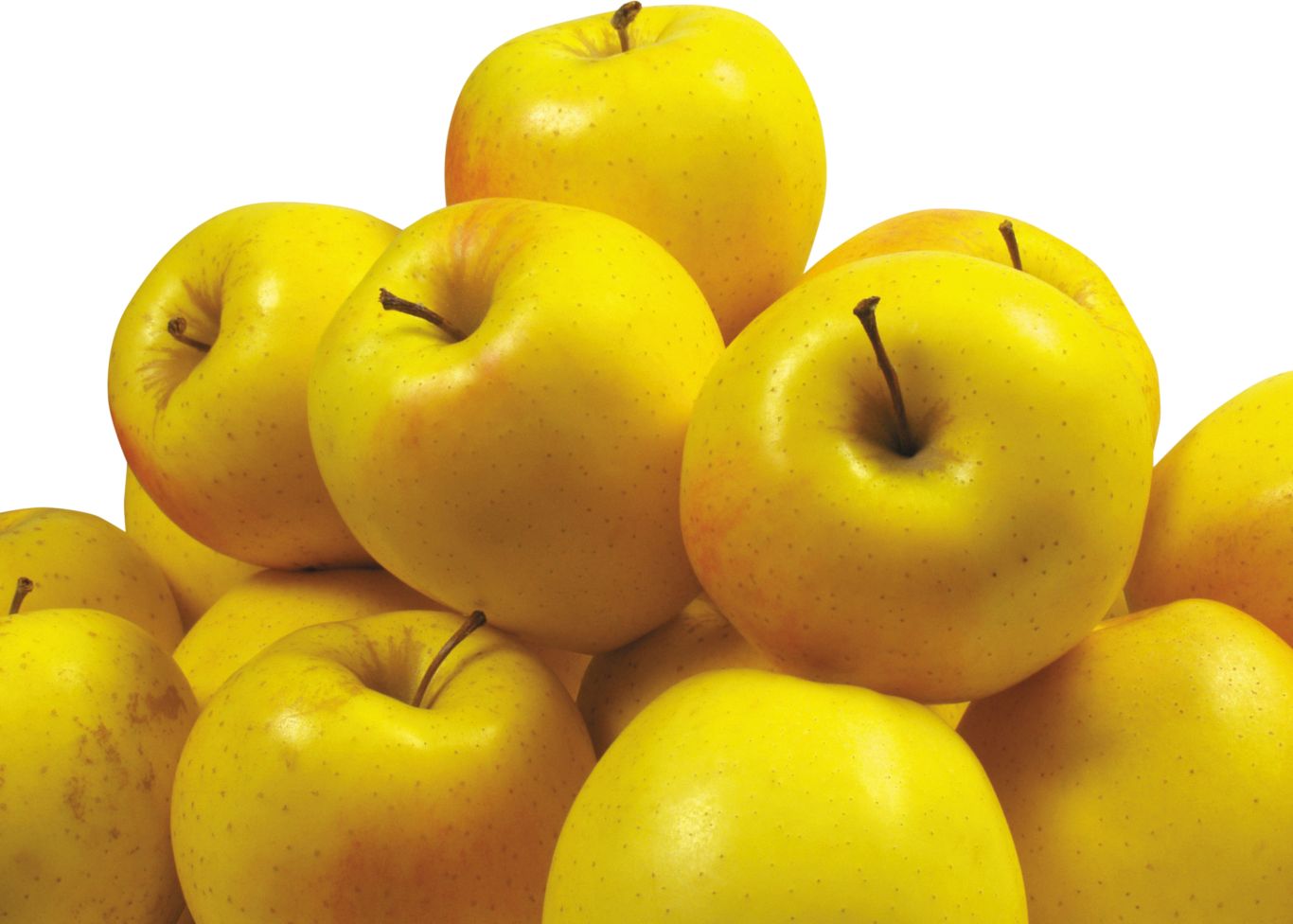 Many yellow apples PNG    图片编号:12457