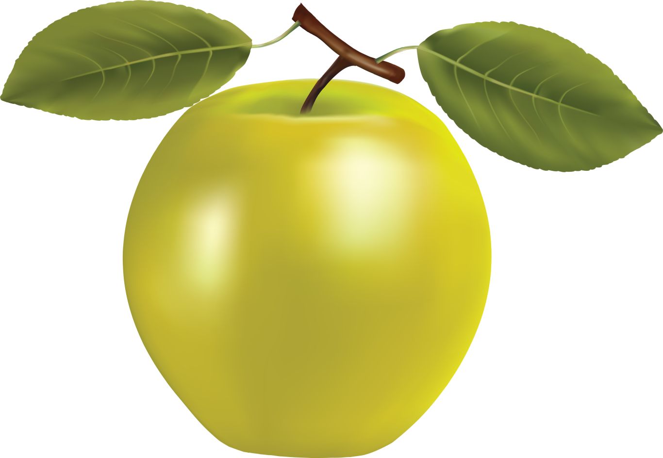 Apple with leaves PNG    图片编号:12502