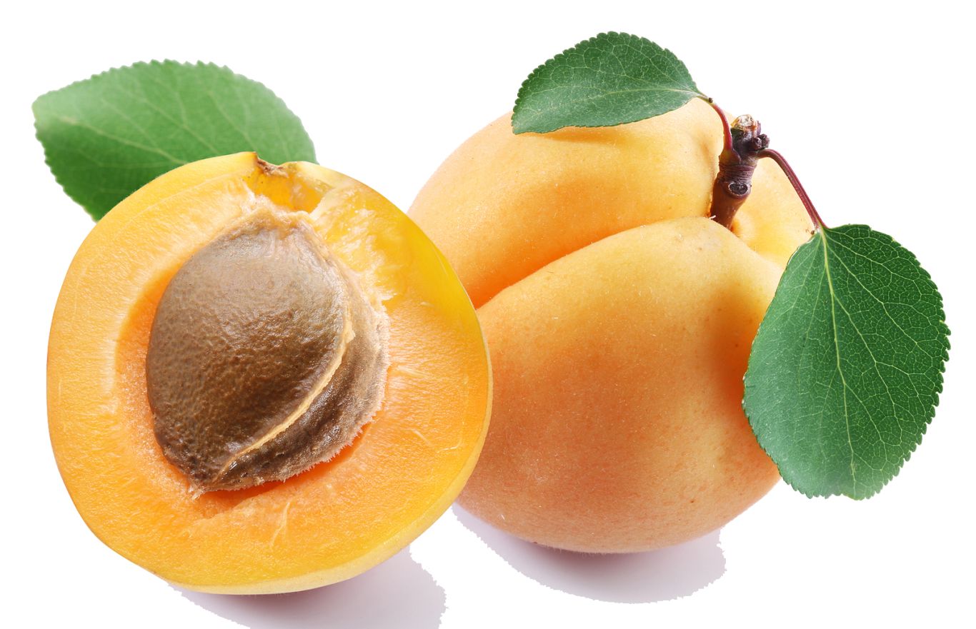 Apricots PNG    图片编号:104202