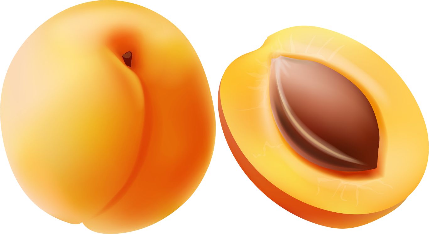 Apricot PNG    图片编号:104203