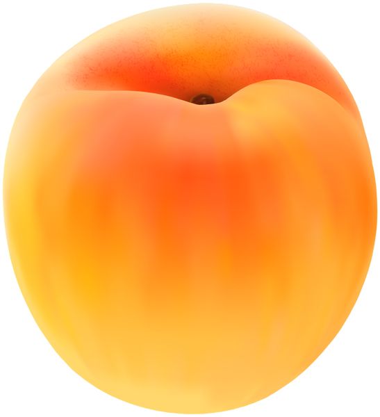 Big apricot PNG image    图片编号:104204