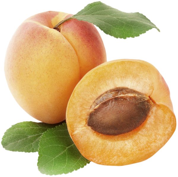 Apricot PNG    图片编号:104207