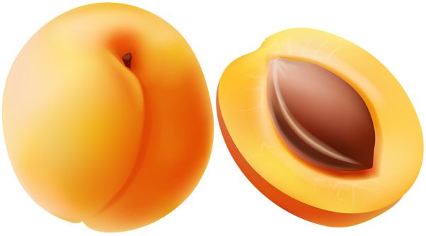 Apricot PNG    图片编号:104208