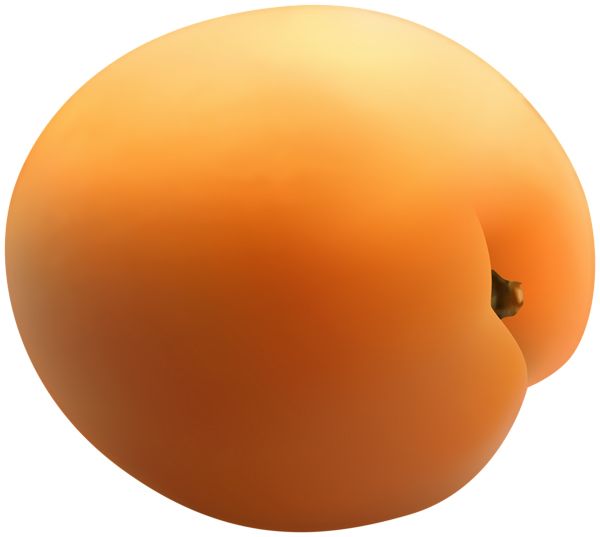 Apricot yellow image PNG    图片编号:104209