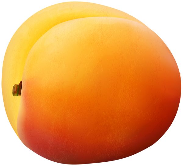 Apricot PNG    图片编号:104212