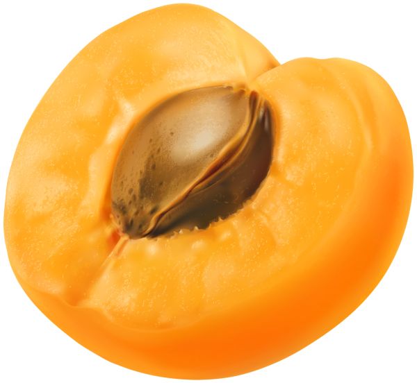 Apricot PNG image with transparent background    图片编号:104214
