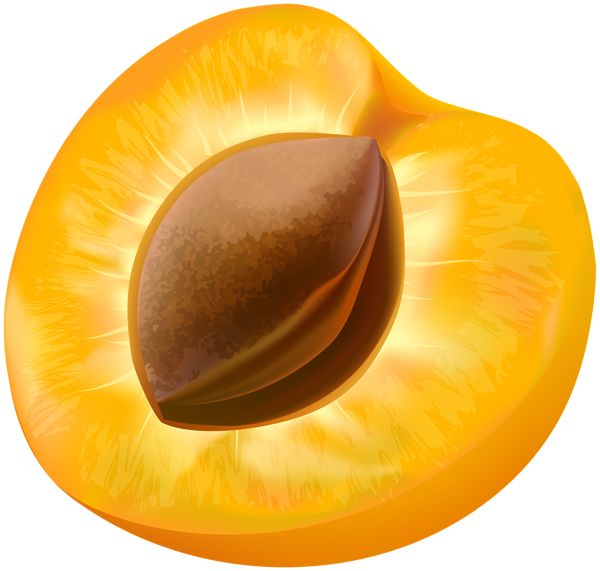 Apricot PNG    图片编号:104215
