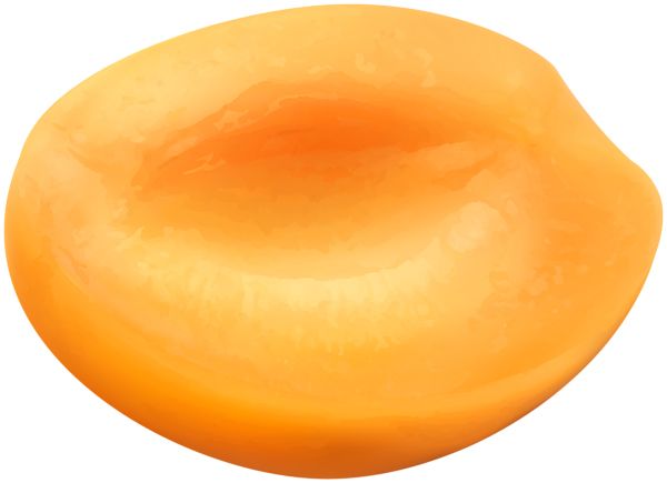 half apricot PNG image    图片编号:104216