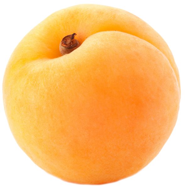big yellow apricot PNG image    图片编号:104217