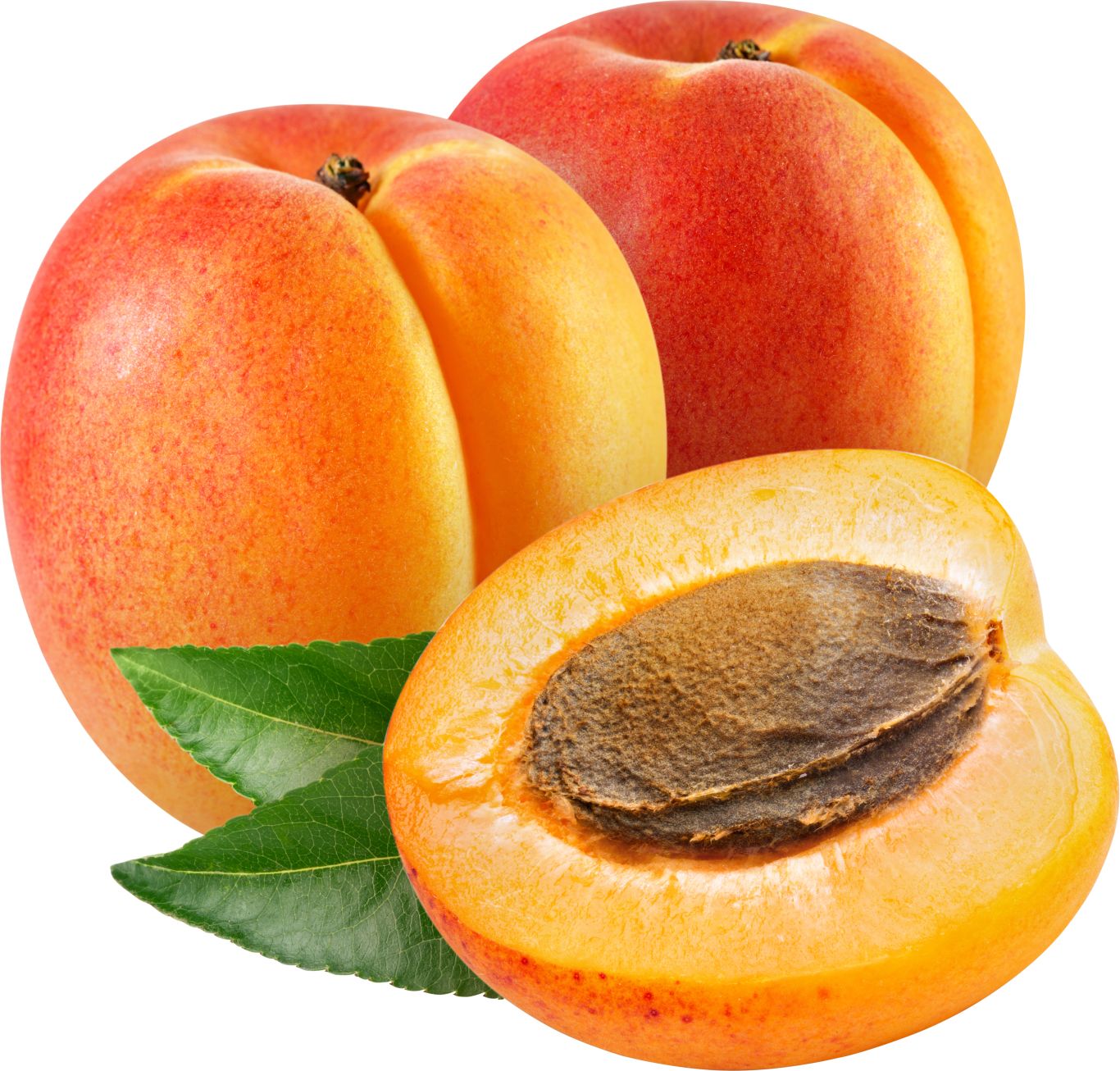 Apricots picture PNG    图片编号:104220