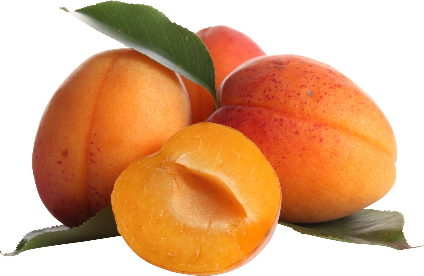 Apricots image PNG    图片编号:104221