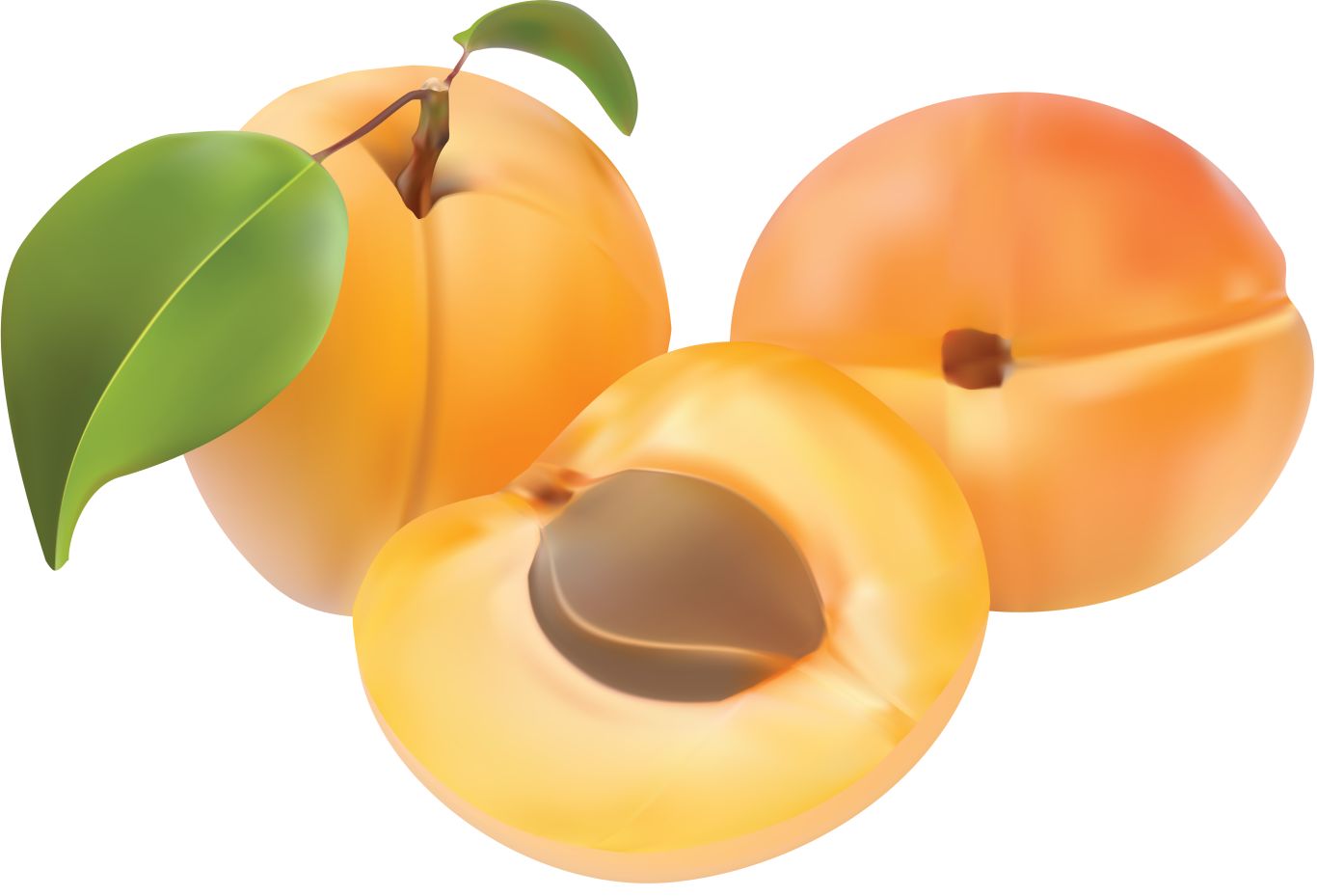 Apricot PNG    图片编号:104228