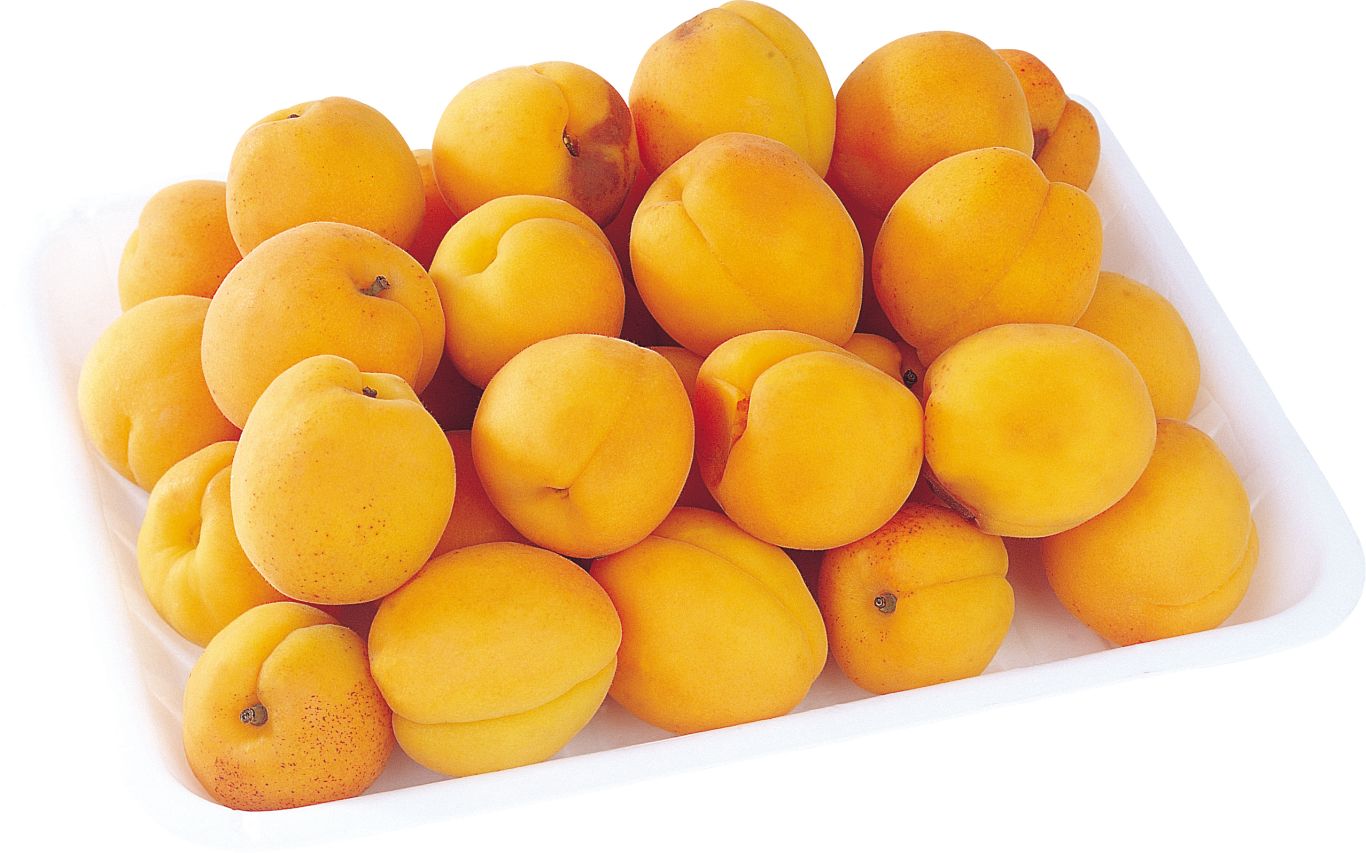 Many yellow Apricots PNG    图片编号:104229