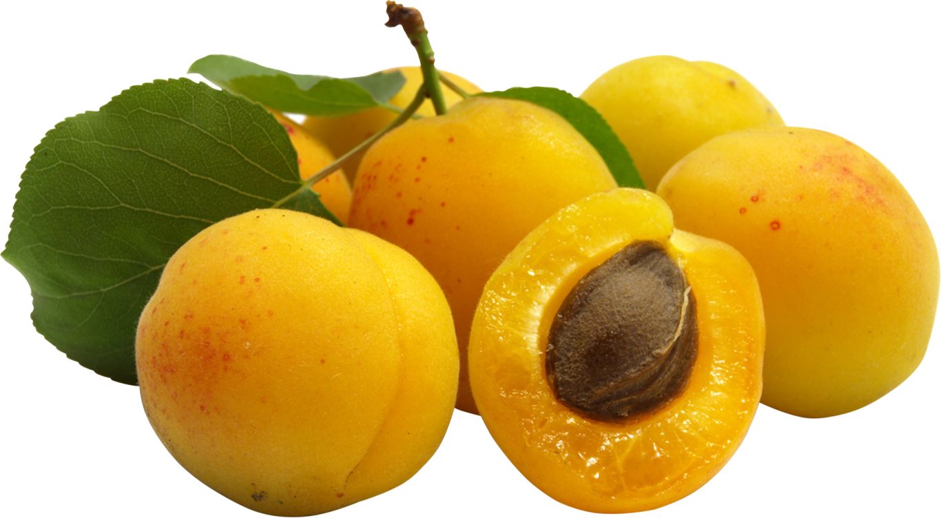 yellow Apricots PNG    图片编号:104233