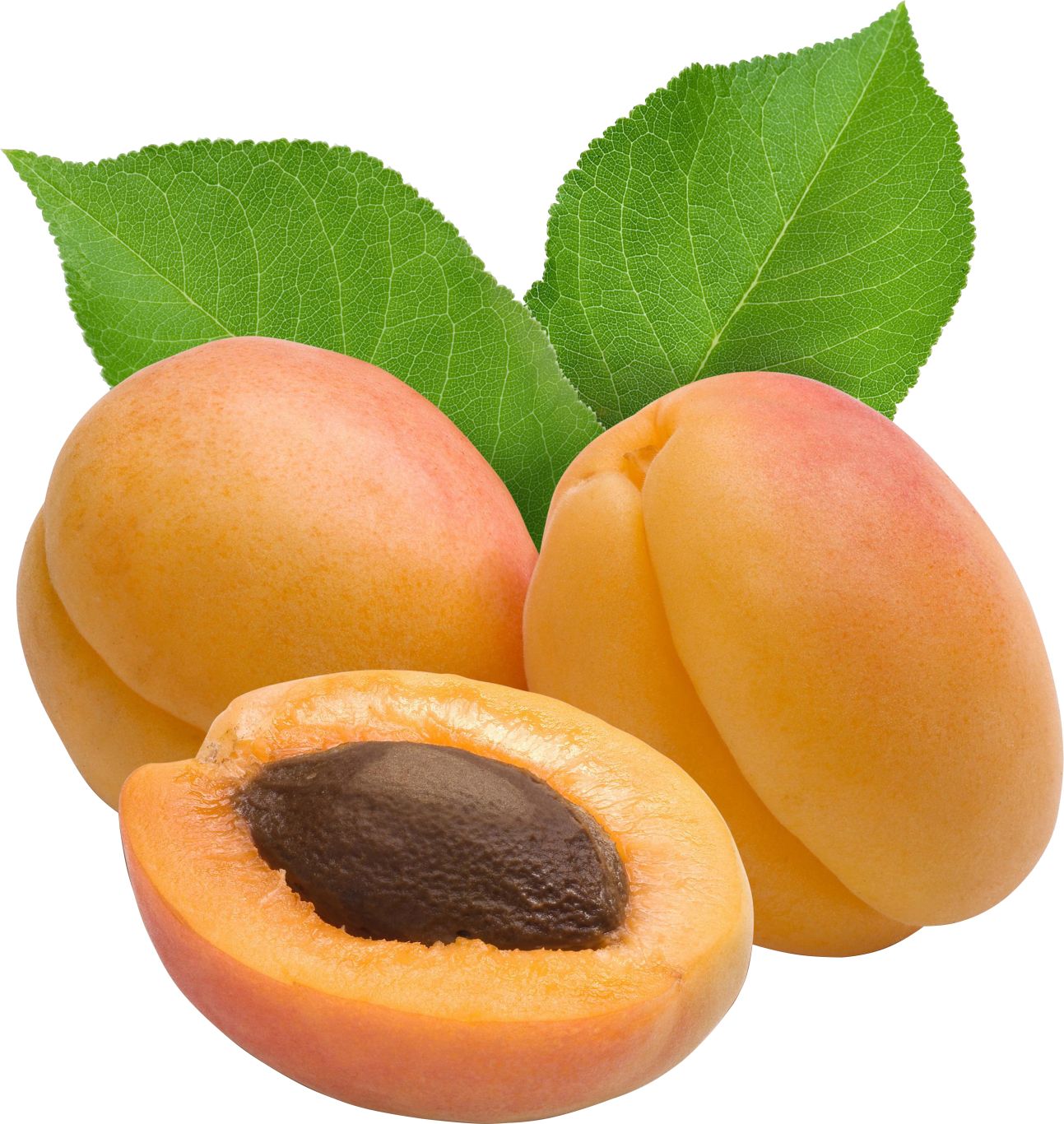 Apricots transparent PNG    图片编号:104237