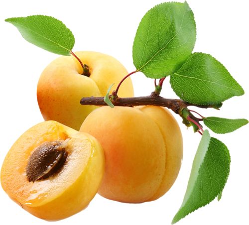 Apricots PNG    图片编号:12635