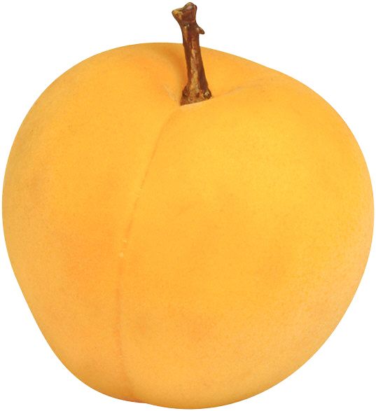 Large apricot PNG    图片编号:12638
