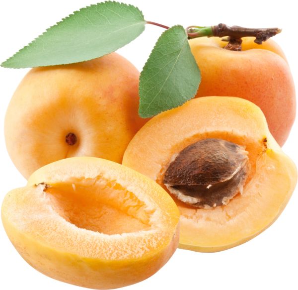 Apricots PNG    图片编号:12639